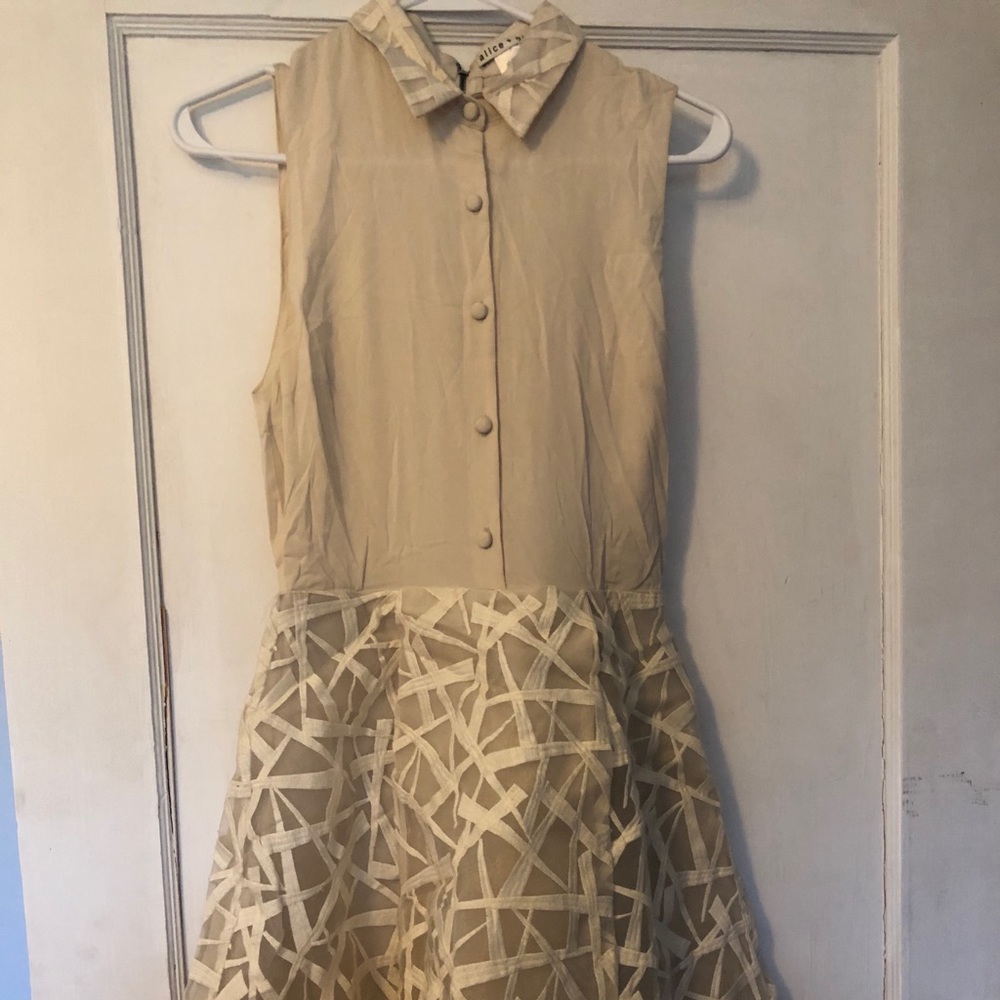 Alice + Olivia button down collar dress